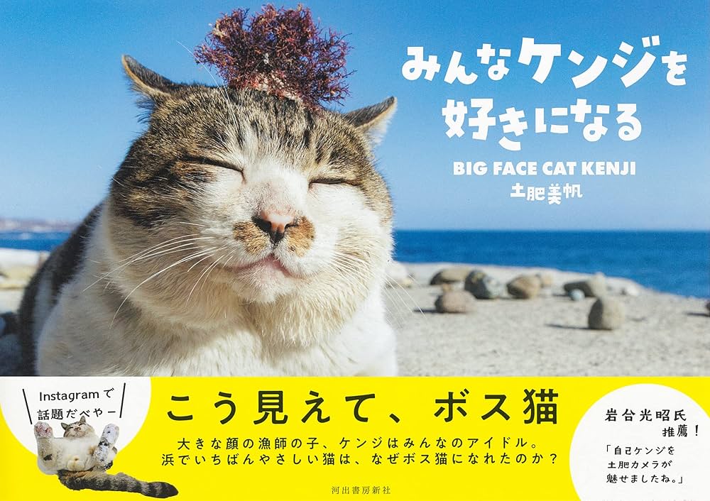 猫好きの料理の本 ねこねこ幼女の愛情ごはん～異世界でもふもふ達に料理を作ります